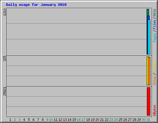 Daily usage for January 2010