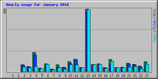 Hourly usage for January 2010